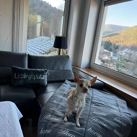 Aussichtsterrasse * Sankt Martin