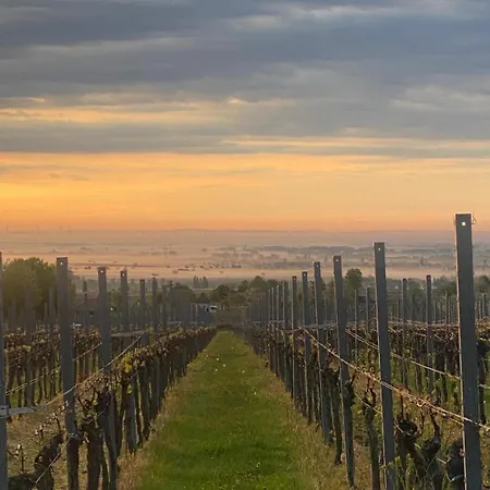 Aussichtsterrasse Sankt Martin