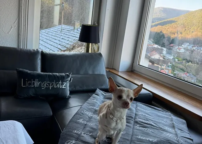 Aussichtsterrasse * Sankt Martin