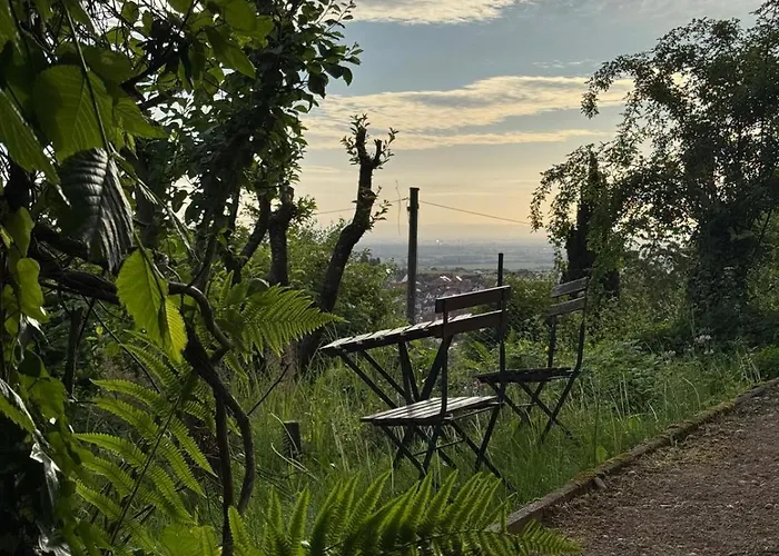 Apartamento Aussichtsterrasse